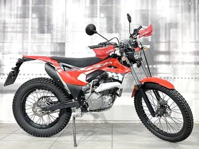 Montesa 4 Ride 260 (2022 - 24) usata