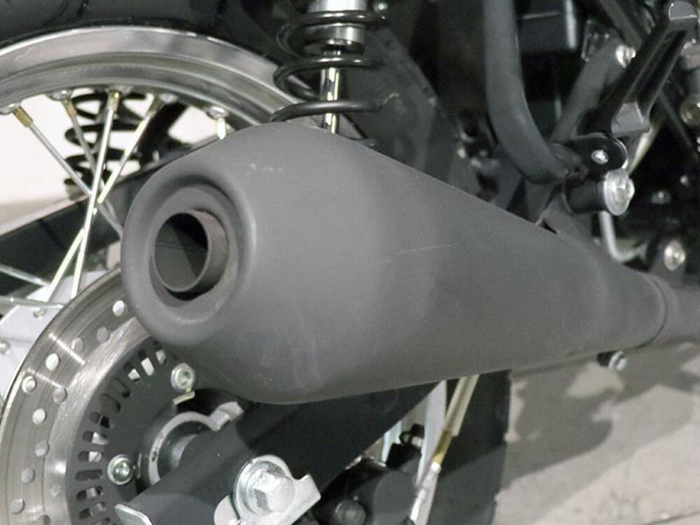 Mash Italia Dirt Track 650 (2019 - 20) (4)