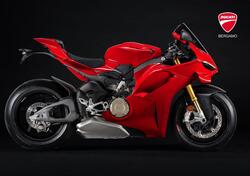 Ducati Panigale V4 S (2025) nuova