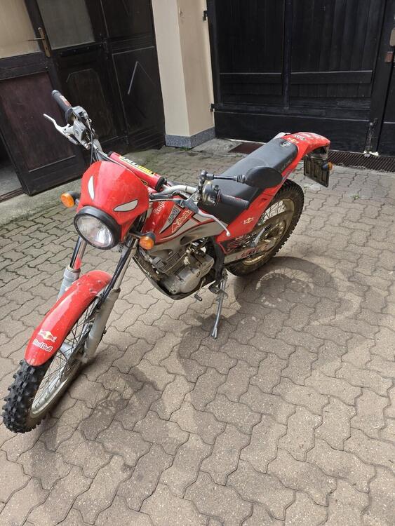 Betamotor Alp 125 (2006) (5)