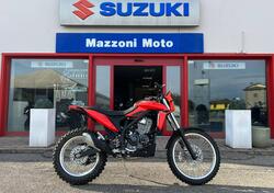 Betamotor Alp 4.0 (2024 - 25) usata