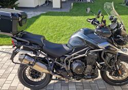 Triumph Tiger 1200 XCa (2018 - 20) usata