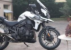 Triumph Tiger 1200 XRt (2018 - 20) usata
