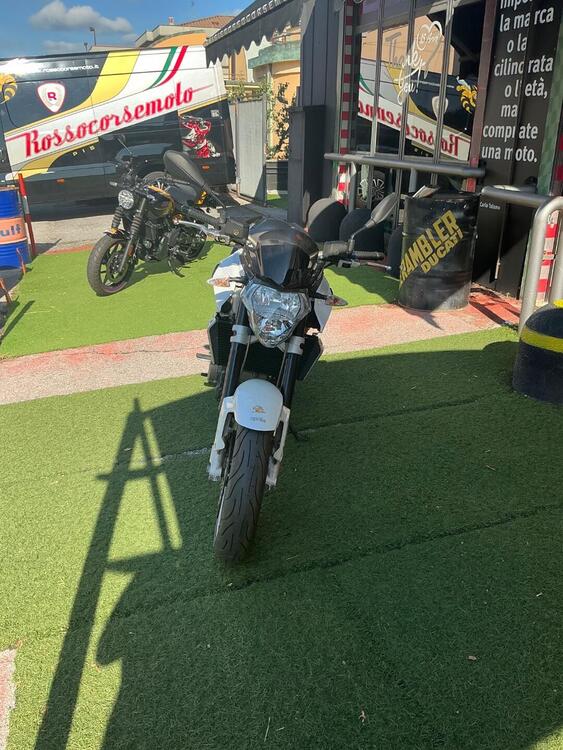 Aprilia Shiver (2008 - 10) (3)