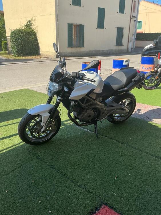 Aprilia Shiver (2008 - 10) (4)