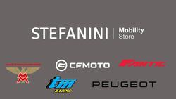 Stefanini Mobility Store - Divisione Moto