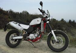 Swm Superdual 600 T (2018 - 20) usata