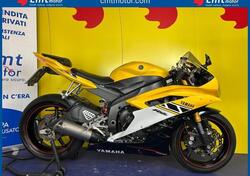 Yamaha YZF R6 (2008 - 09) usata
