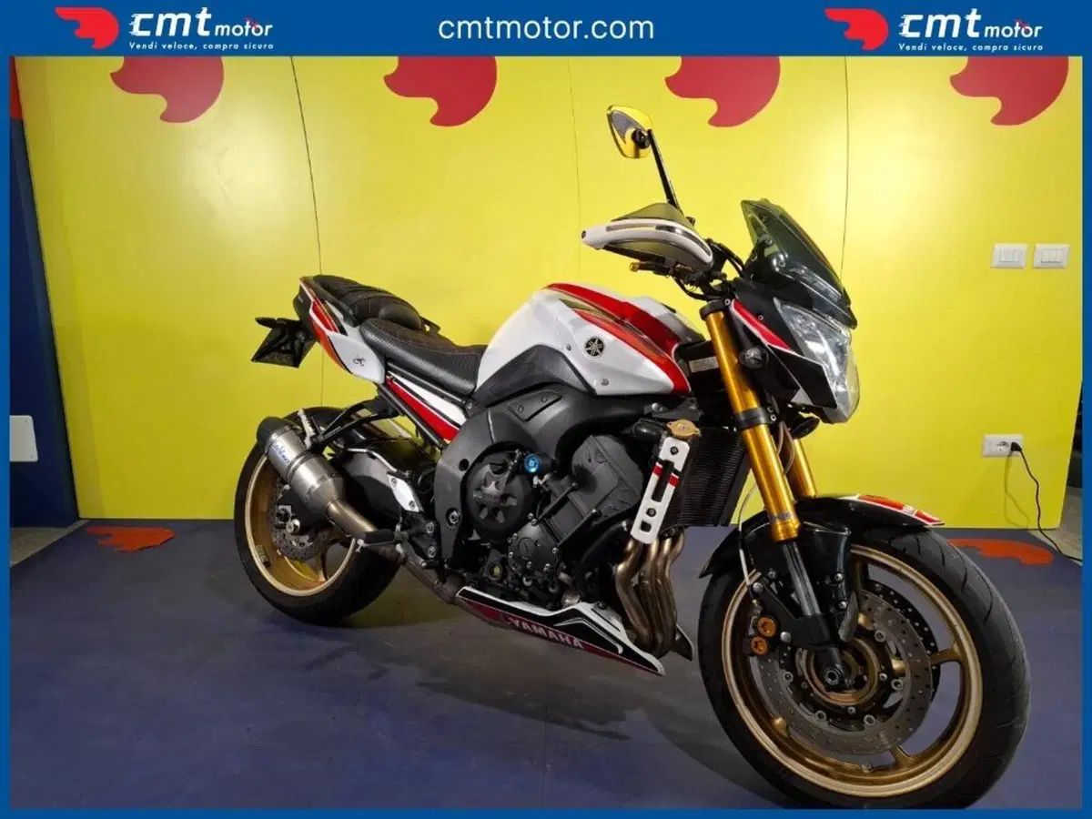 Yamaha FZ8 (2010 - 12) (2)