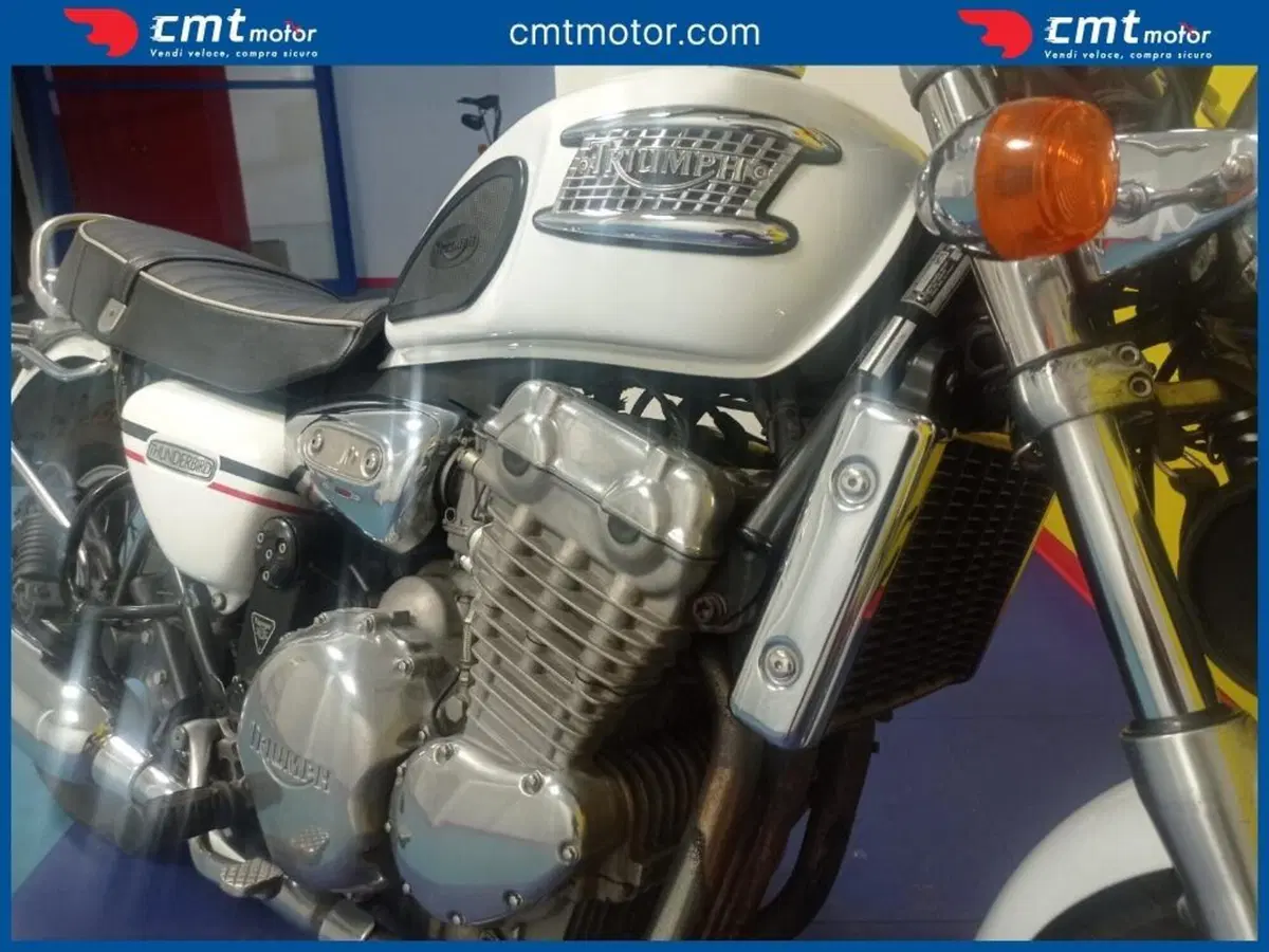 Triumph Thunderbird 900 (1995 - 01) (7)