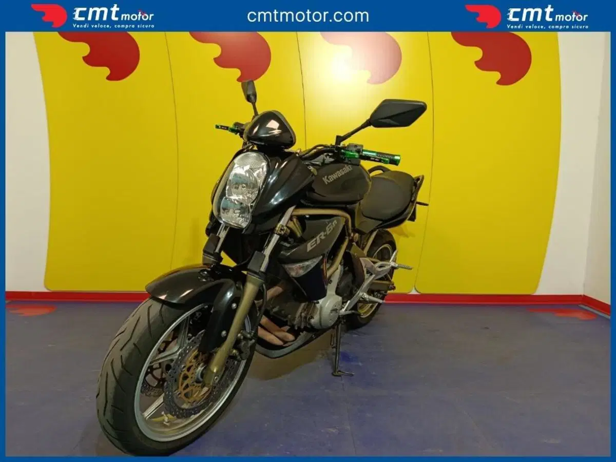 Kawasaki ER-6N (2006 - 09) (2)