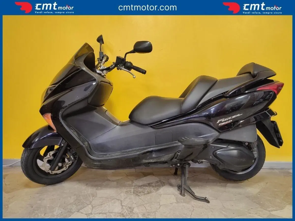 Honda Forza 250 X (2005 - 07) (2)