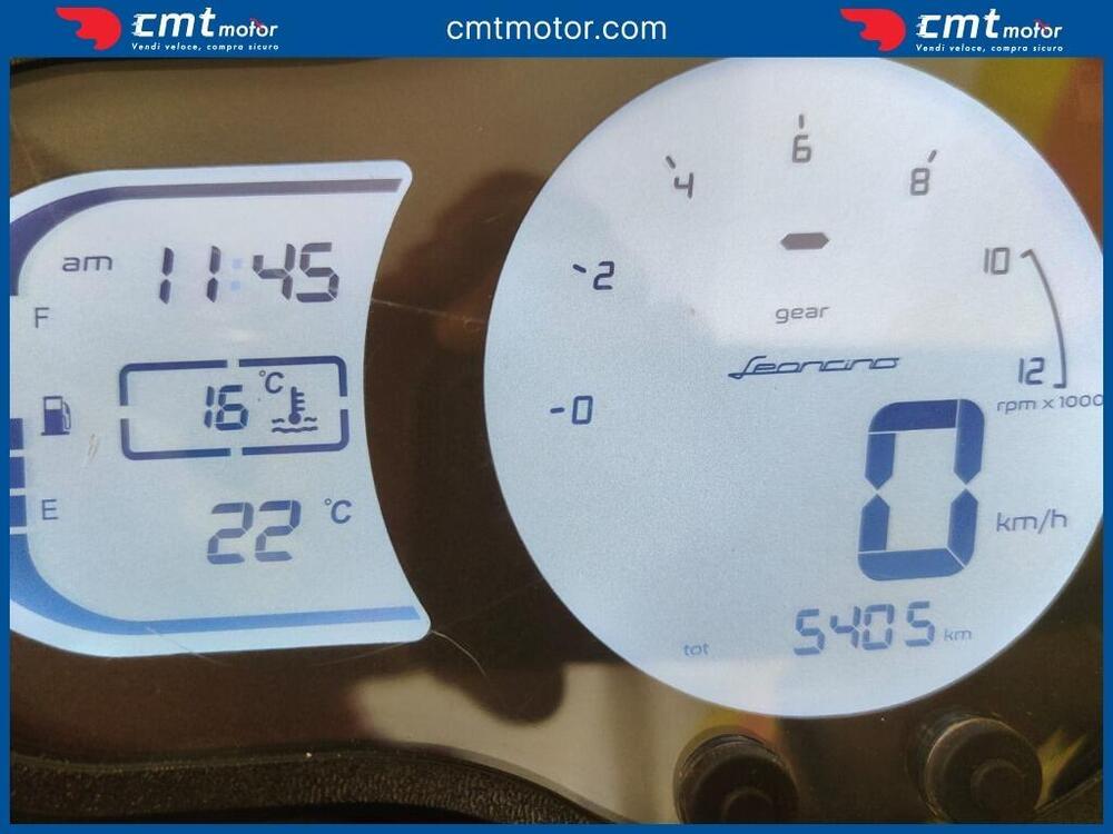 Benelli Leoncino 500 Trail (2021 - 25) (5)