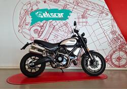 Ducati Scrambler 1100 Sport Pro (2020 - 25) usata