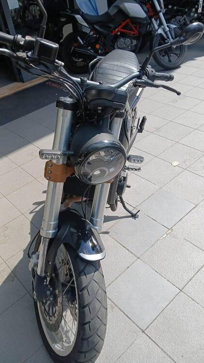 Benelli Leoncino 500 Trail (2021 - 25)