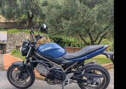 Suzuki SV650 (2021 - 24) usata