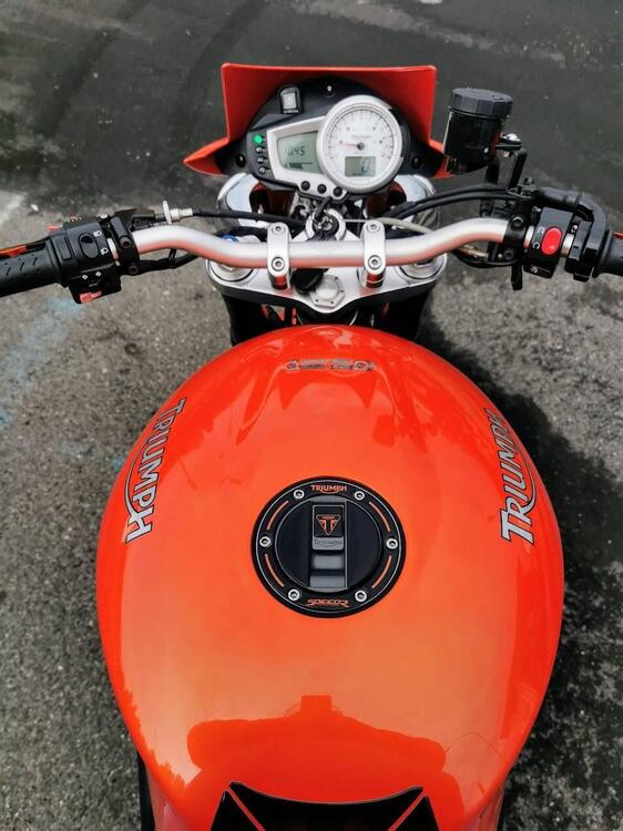 Triumph Speed Triple 1050 (2005 - 11) (5)