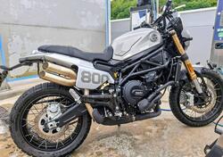 Benelli Leoncino 800 Trail (2022 - 25) usata