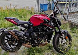 MV Agusta Brutale 800 R (2023 - 25) usata