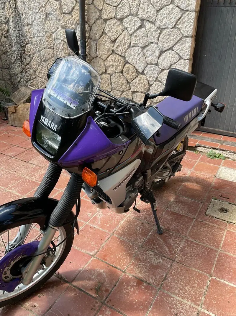 Yamaha Tenere 660 xtz (11)
