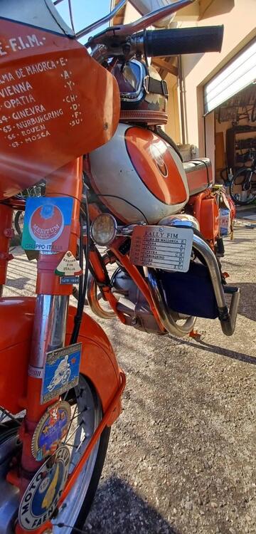 Gilera B 300 EXTRA NS (4)