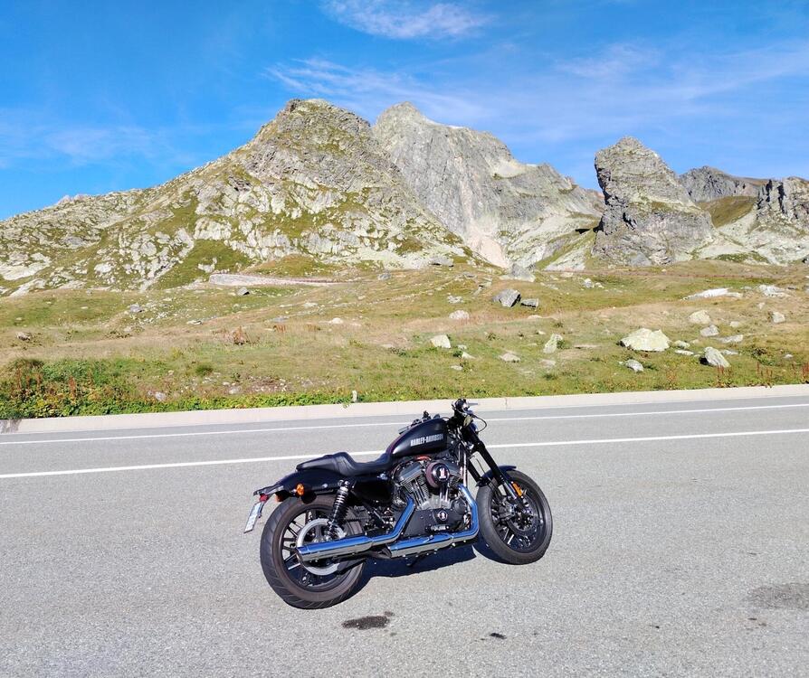 Harley-Davidson 1200 Roadster (2017 - 20) - XL 1200R