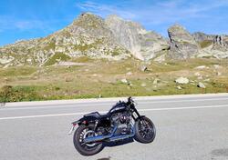 Harley-Davidson 1200 Roadster (2017 - 20) - XL 1200R usata