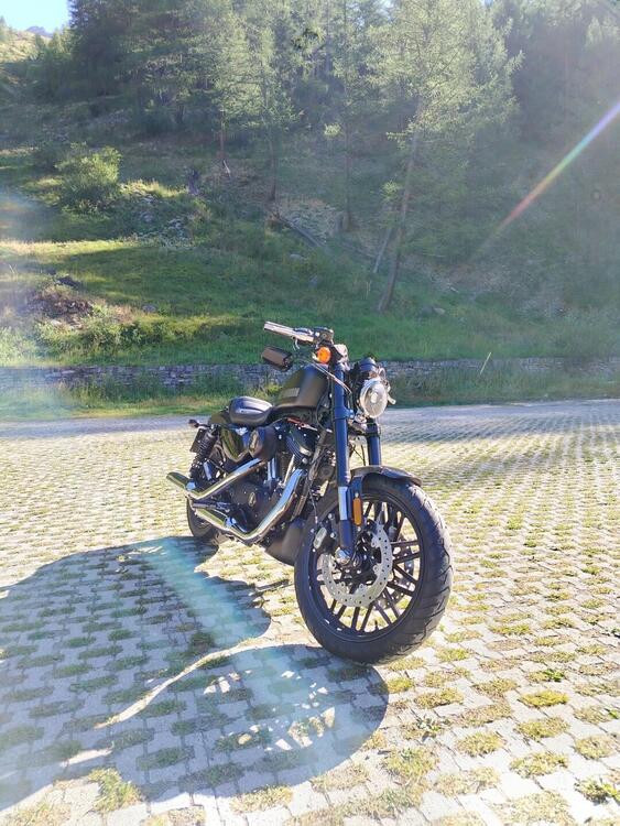 Harley-Davidson 1200 Roadster (2017 - 20) - XL 1200R (3)