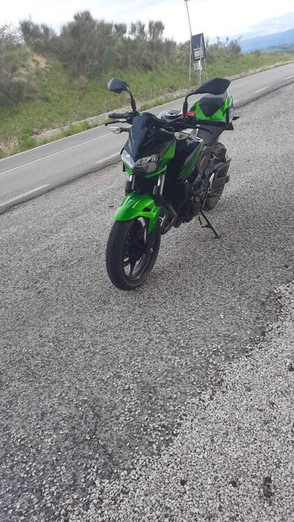 Kawasaki Z 400 (2019 - 20) (4)