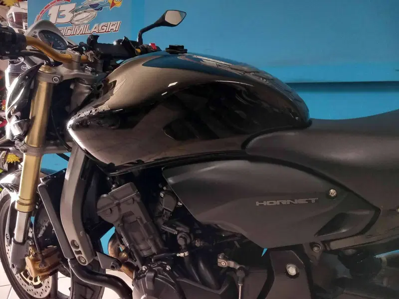 Honda Hornet 600 (2007 - 10) (17)