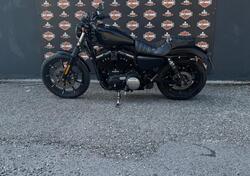 Harley-Davidson 883 Iron (2017 - 20) - XL 883N usata
