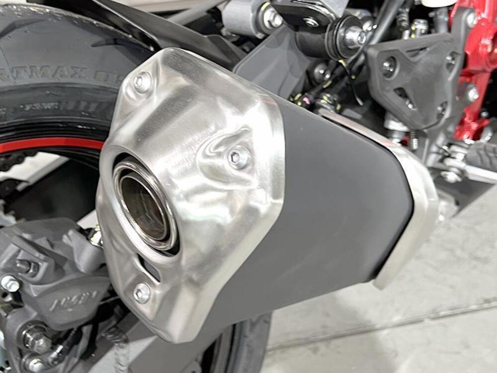 Kawasaki Z 900 A2 (2025 - 26) (5)