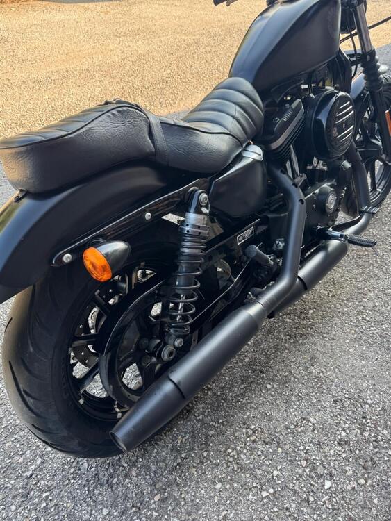 Harley-Davidson 883 Iron (2017 - 20) - XL 883N (4)