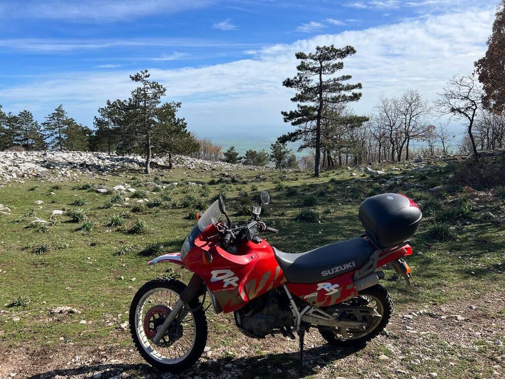 Suzuki DR 650 RSE (1991 - 97) (2)