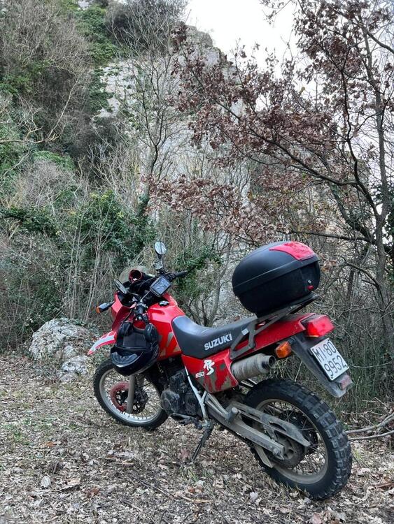 Suzuki DR 650 RSE (1991 - 97) (3)
