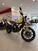 Ducati Scrambler 1100 (2018 - 20) (6)