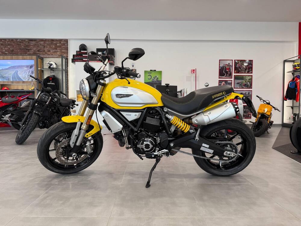 Ducati Scrambler 1100 (2018 - 20) (3)