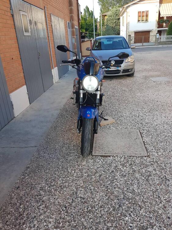 Suzuki SV 650 (2006 - 11) (4)