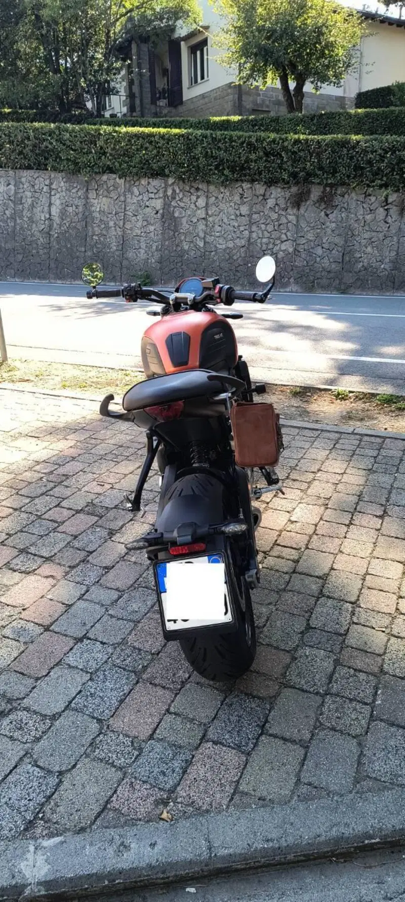 Triumph Trident 660 (2021 - 24) (9)