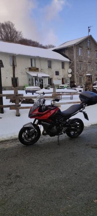 Triumph Tiger Sport 660 (2022 - 24) (5)