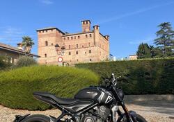 Triumph Trident 660 (2021 - 24) usata