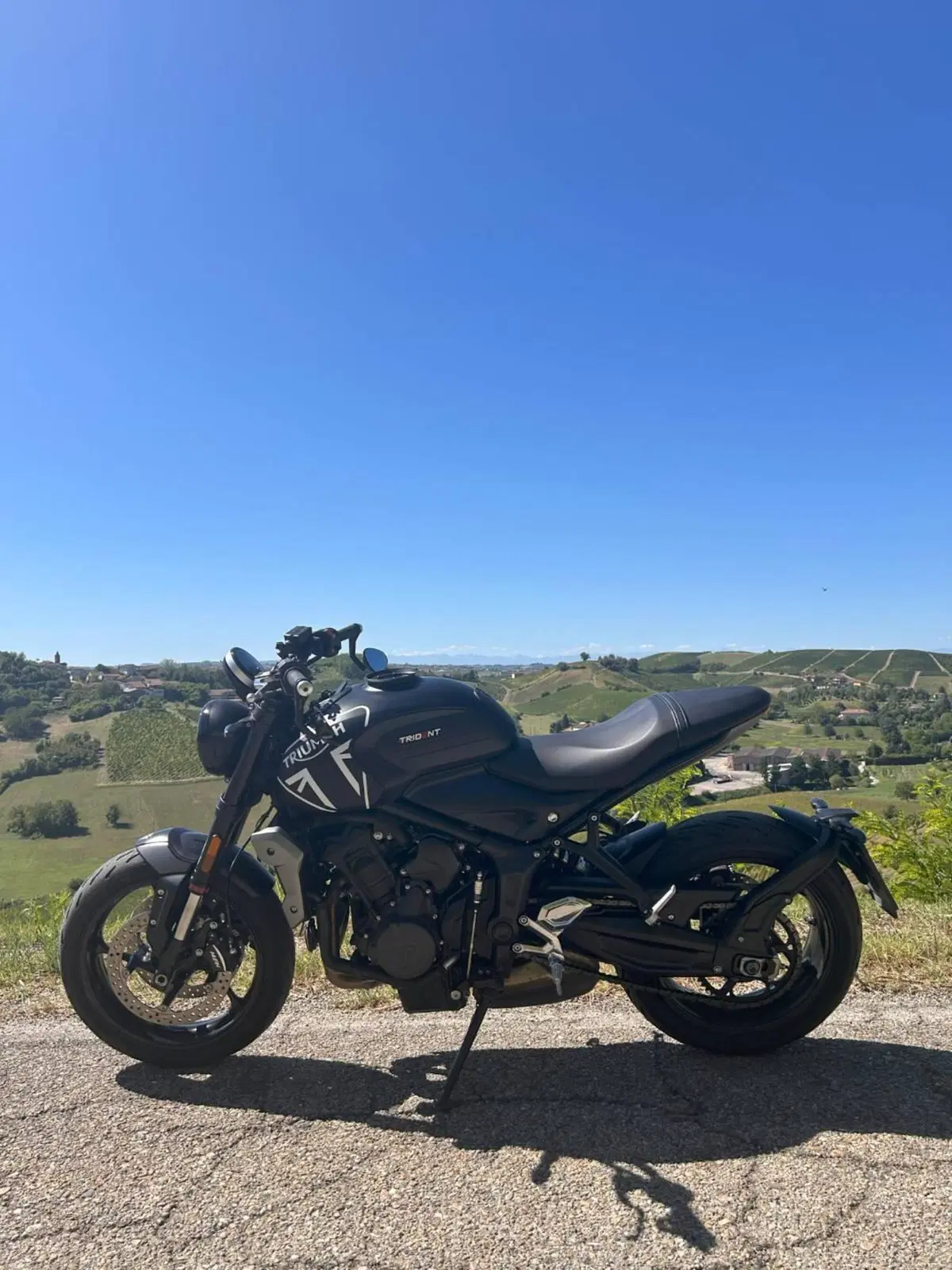 Triumph Trident 660 (2021 - 24) (6)