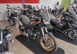 Cyclone RX600 (2025) nuova