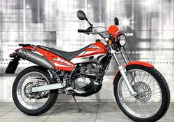 Betamotor Alp 240 usata