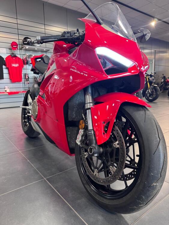 Ducati Panigale V4 1100 (2018 - 19) (5)