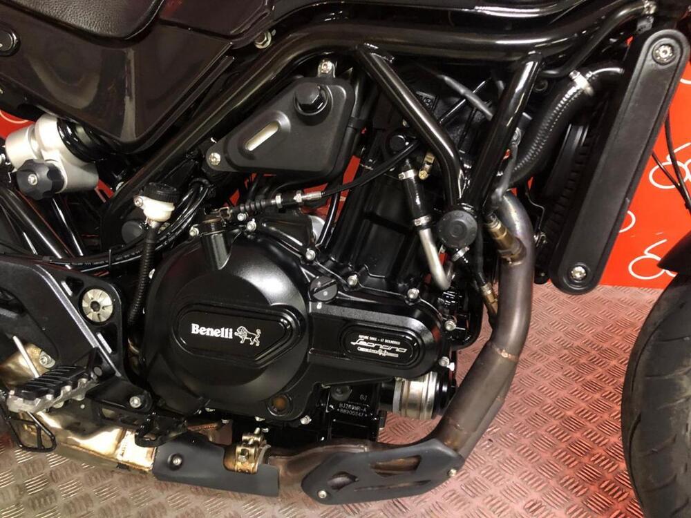 Benelli Leoncino 500 ABS (2017 - 20) (5)