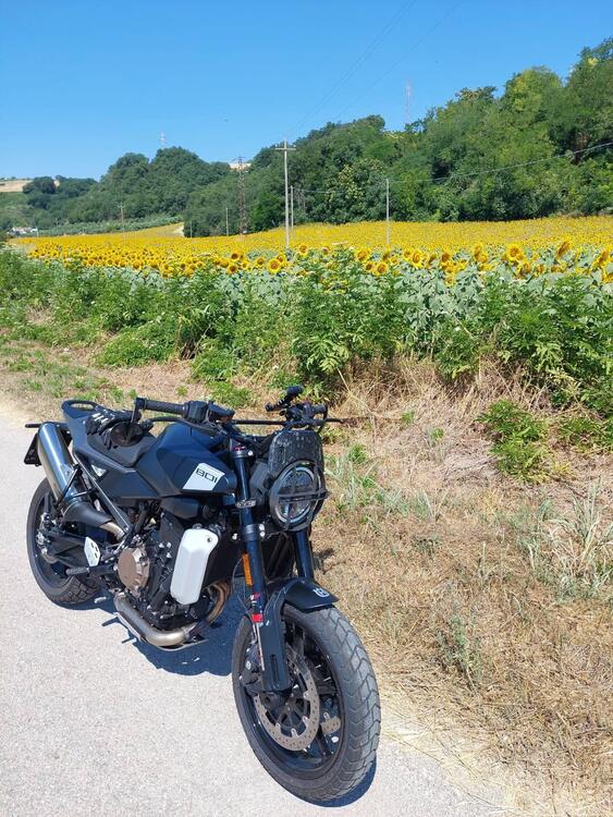 Husqvarna Svartpilen 801 (2024 - 25)