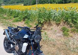 Husqvarna Svartpilen 801 (2024 - 25) usata