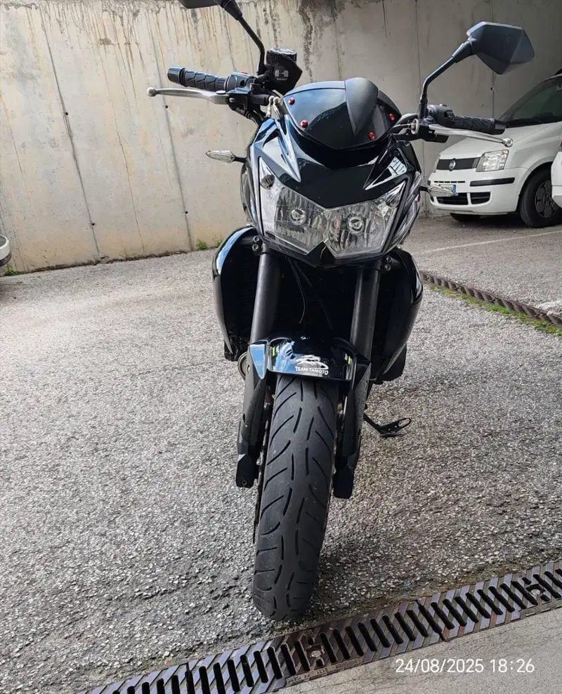 Kawasaki Z 750 (2007 - 14) (4)