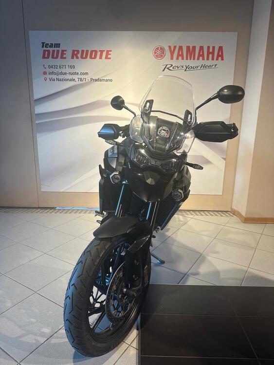 Triumph Tiger 900 GT Pro (2020 - 23) (3)
